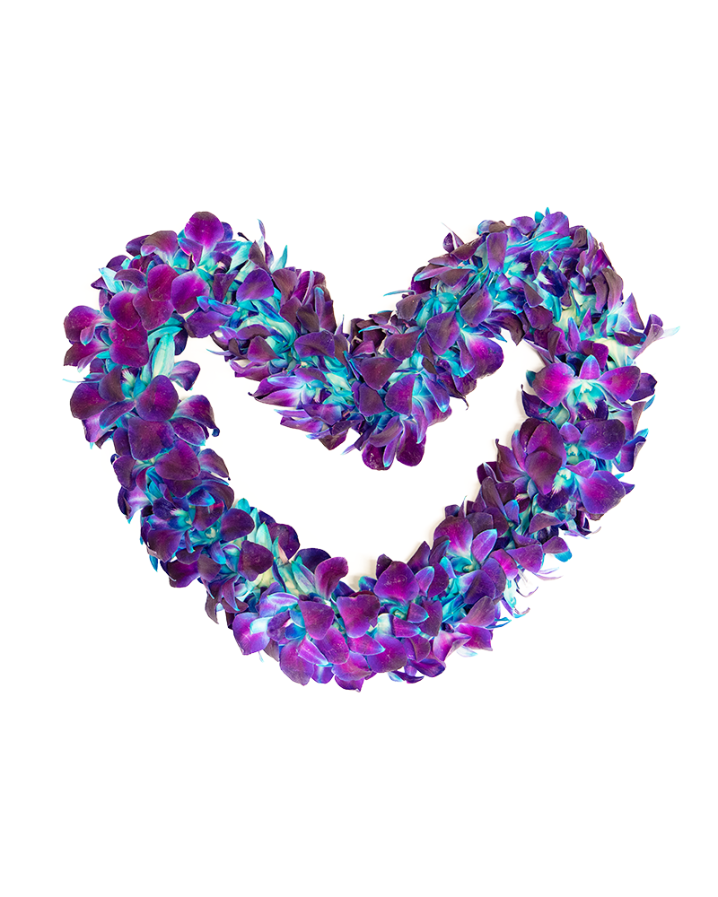 Blue and Purple Graduation Orchid Lei