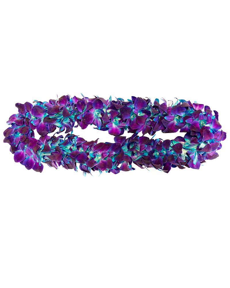 Blue and Purple Graduation Orchid Lei