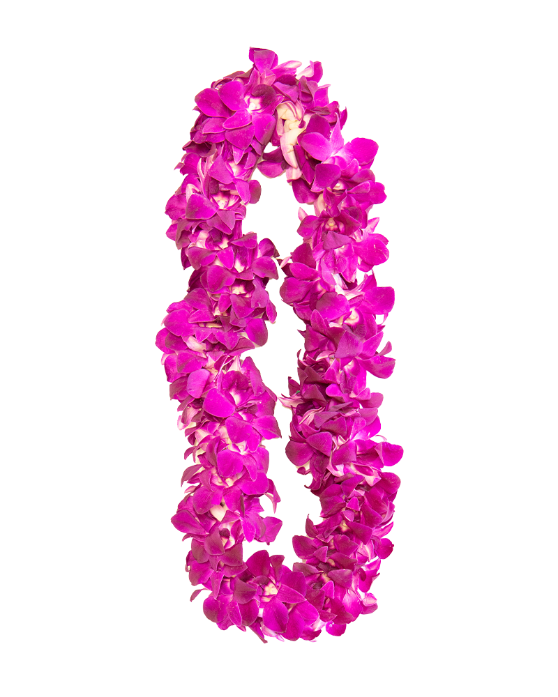 Pink Graduation Orchid Lei