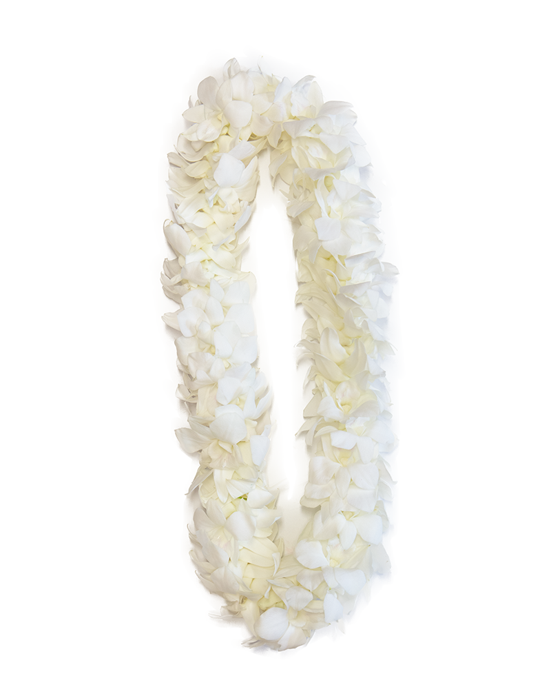 White Graduation Orchid Lei