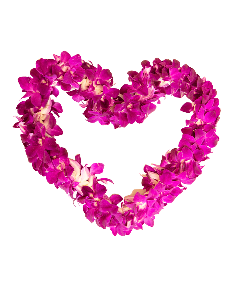Pink Graduation Orchid Lei