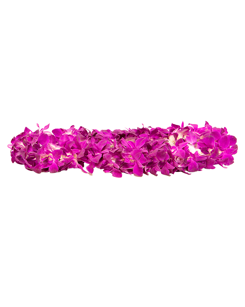 Pink Graduation Orchid Lei