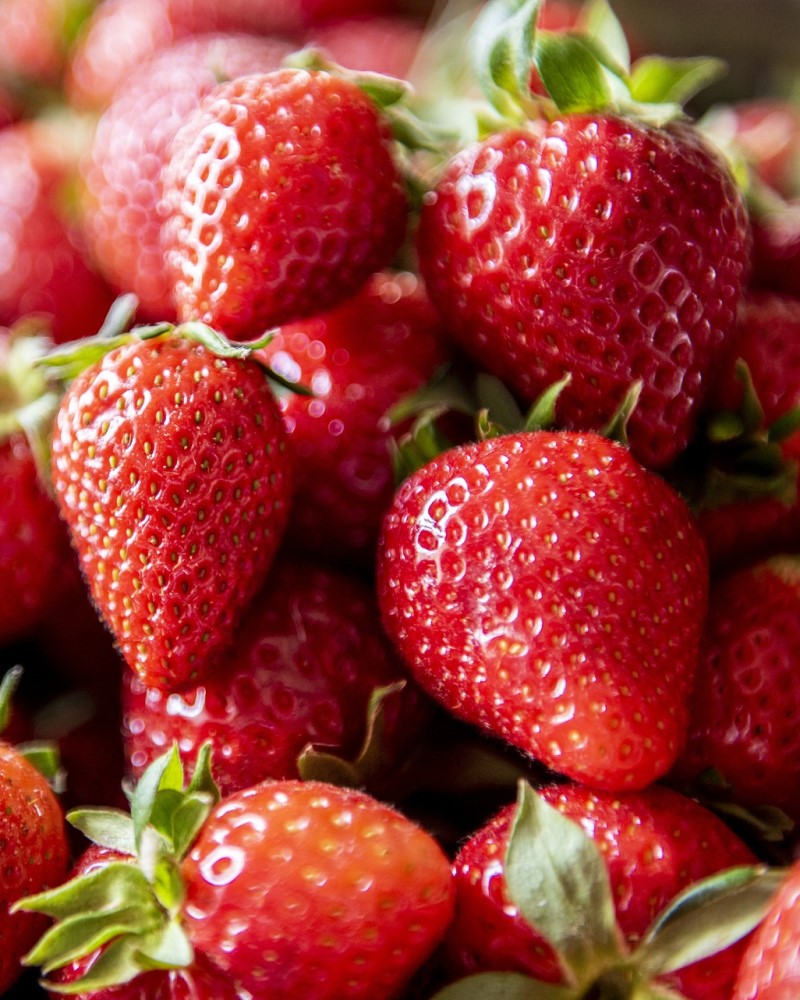 Eversweet® Strawberry #1<br><i>Fragaria Eversweet</br></i>