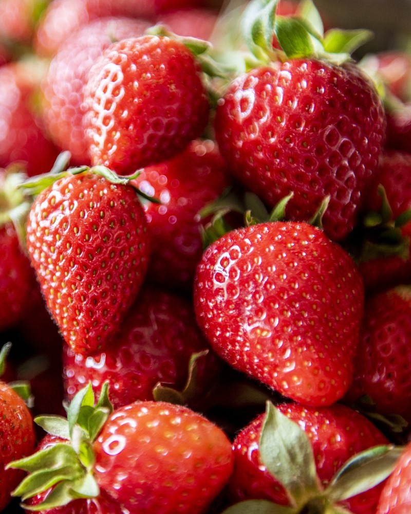 Eversweet&reg; Strawberry #1<br><i>Fragaria Eversweet</br></i>