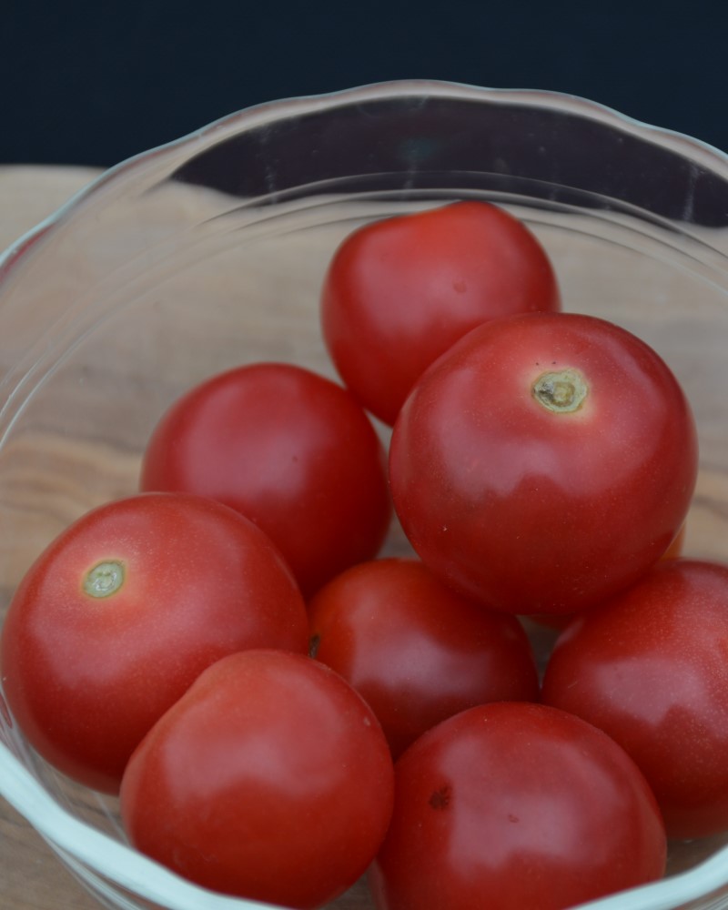 Tomato Husky Red Cherry 4"