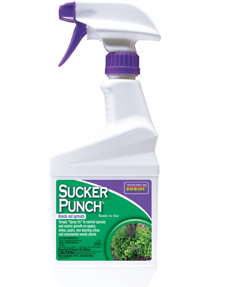 Bonide Sucker Punch Ready-To-Use, 16 oz