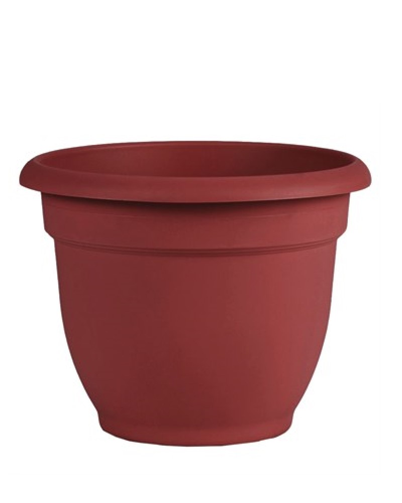 Ariana Grid Pot Red 10"