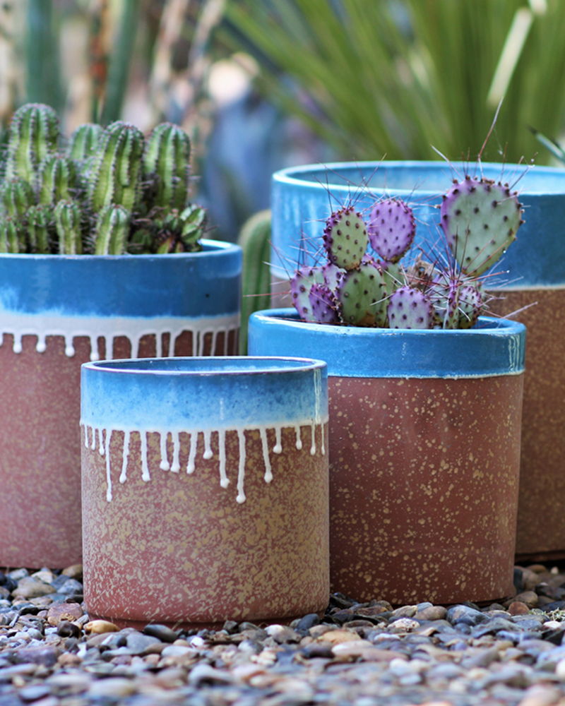 Areca Palm Planter Azure 14"