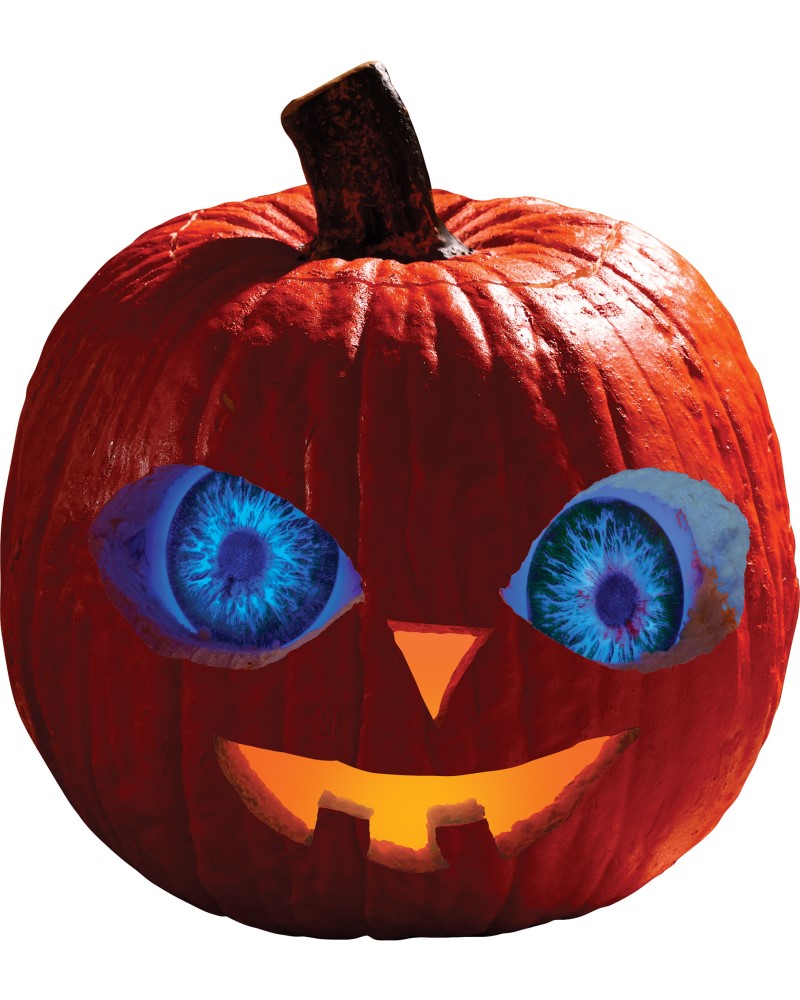 Pumpkin Eyes Blue