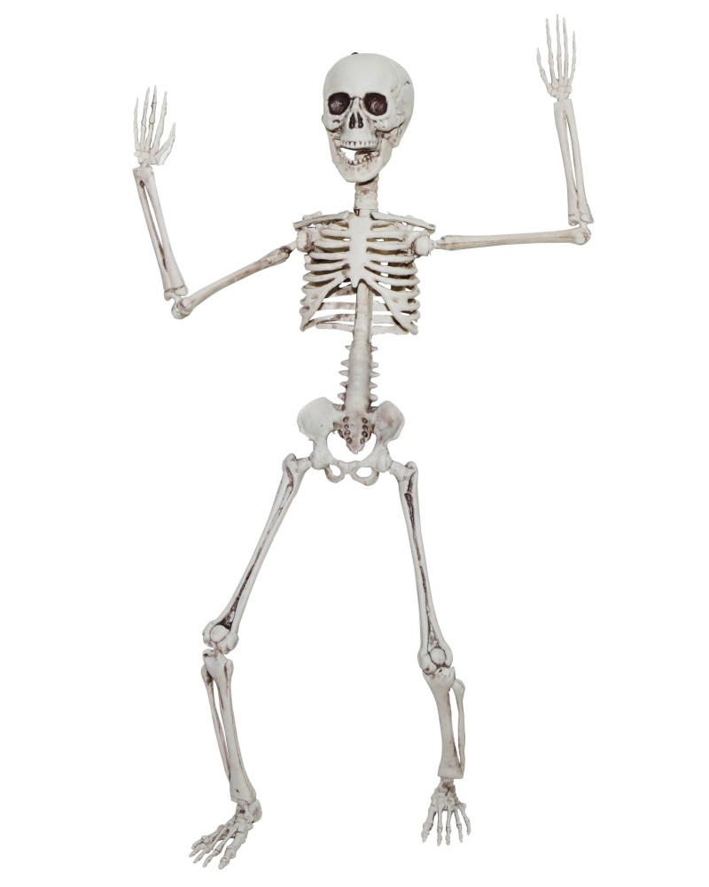 Poseable Skeleton 20"