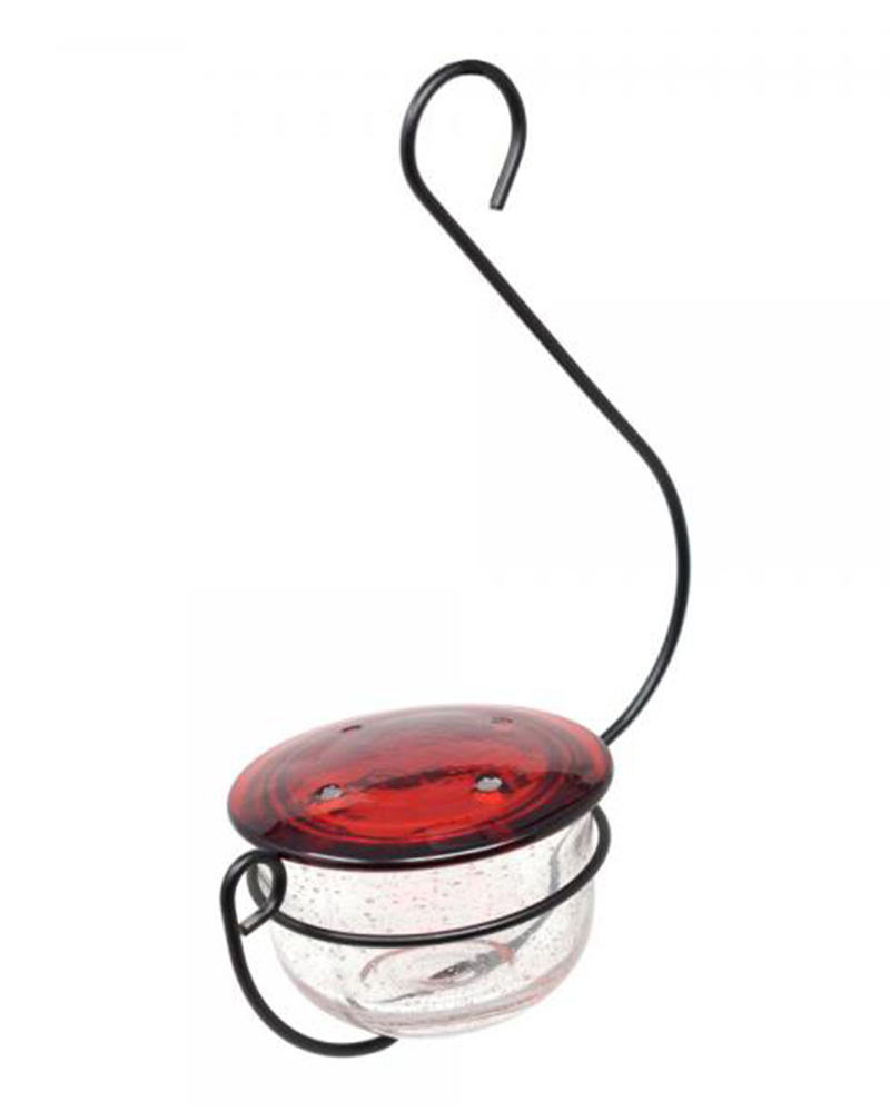 Hummingbird Hanging Glass Feeder