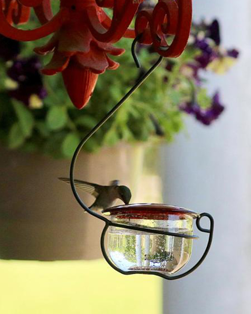 Hummingbird Hanging Glass Feeder