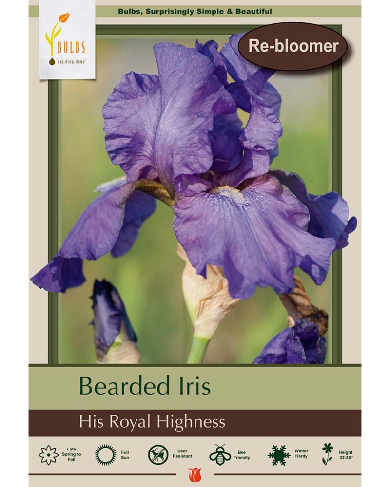 Iris His Royal Highness