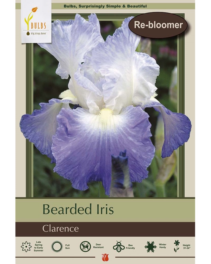 Iris Clarence