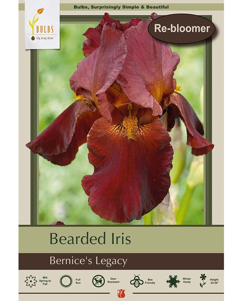 Iris Bernice's Legacy