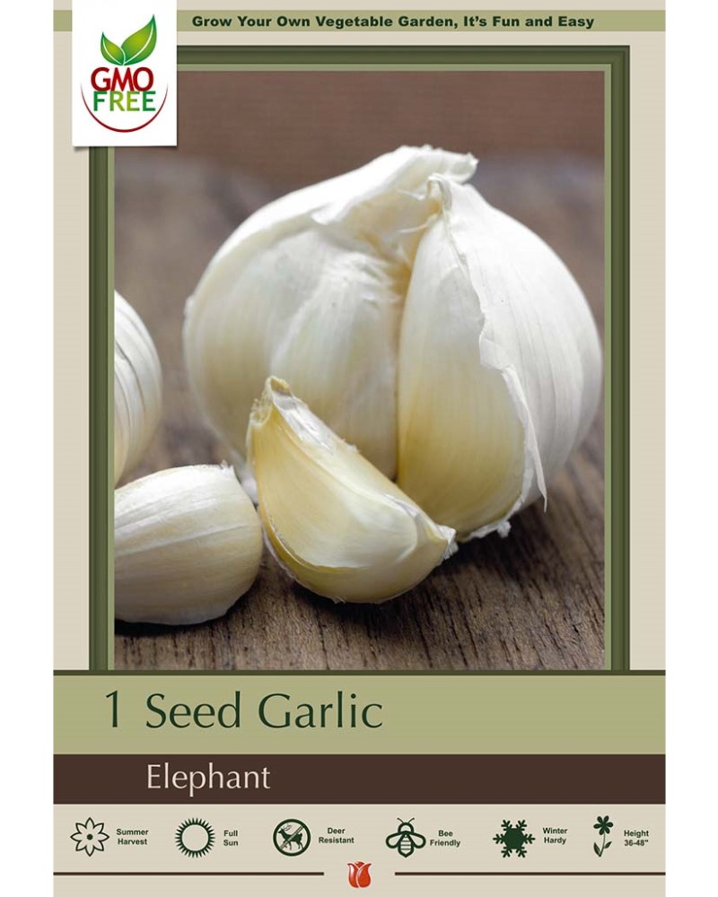 Garlic Elephant