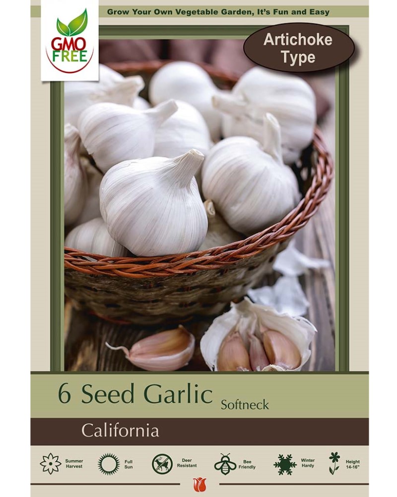 Garlic California Softneck