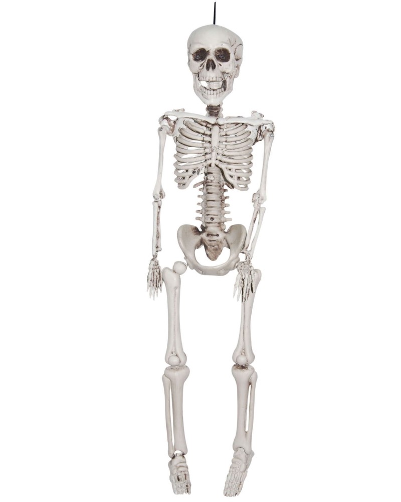 Skeleton 36"