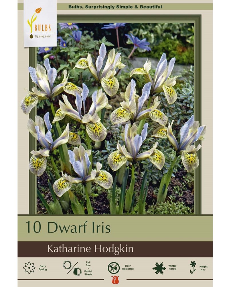 Iris Katharine Hodgkin