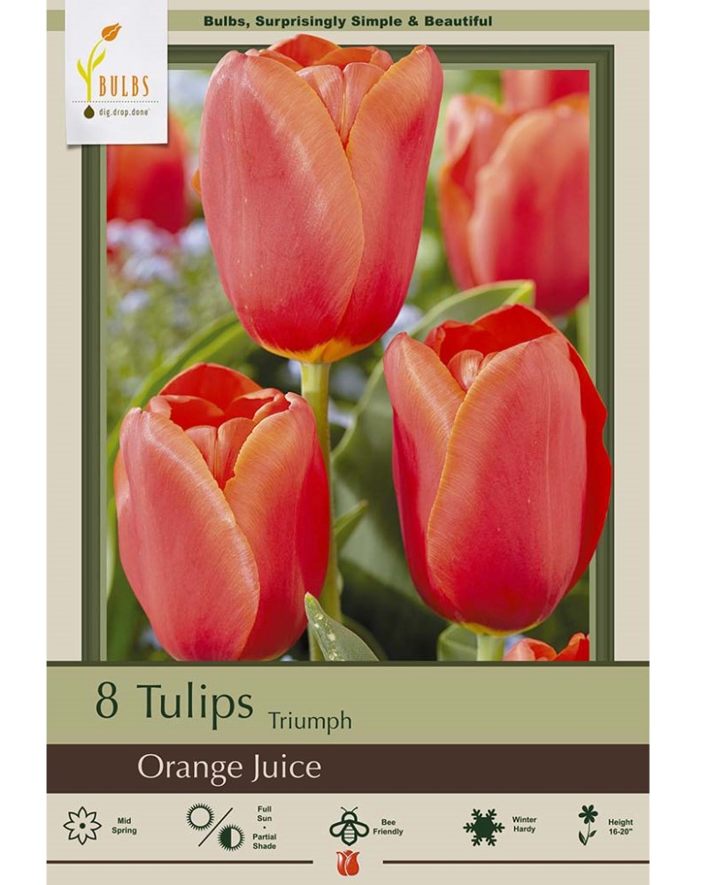 Tulip Orange Juice