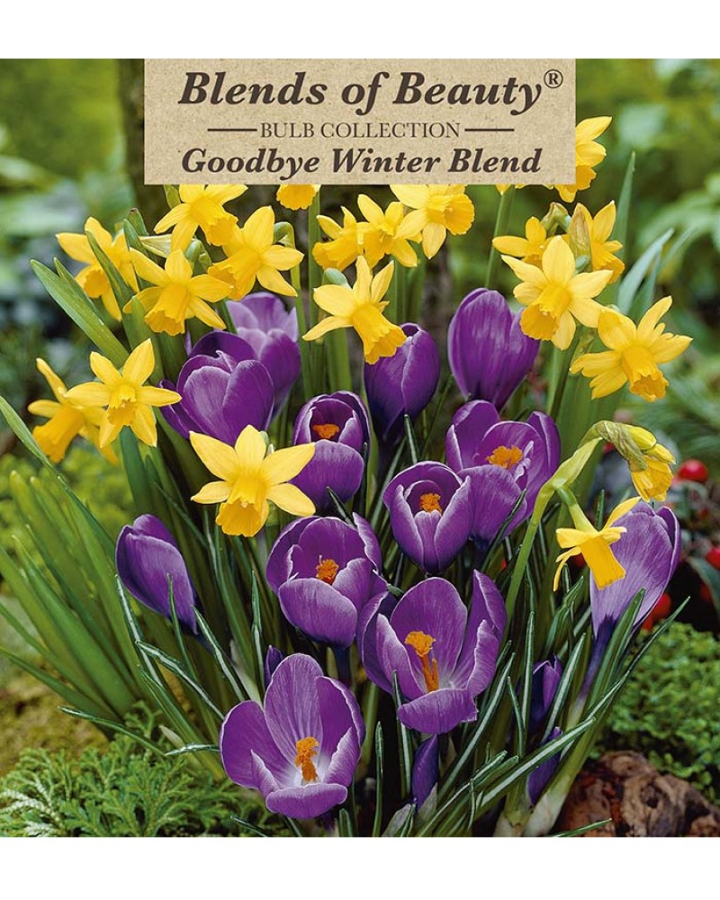 Goodbye Winter Blend
