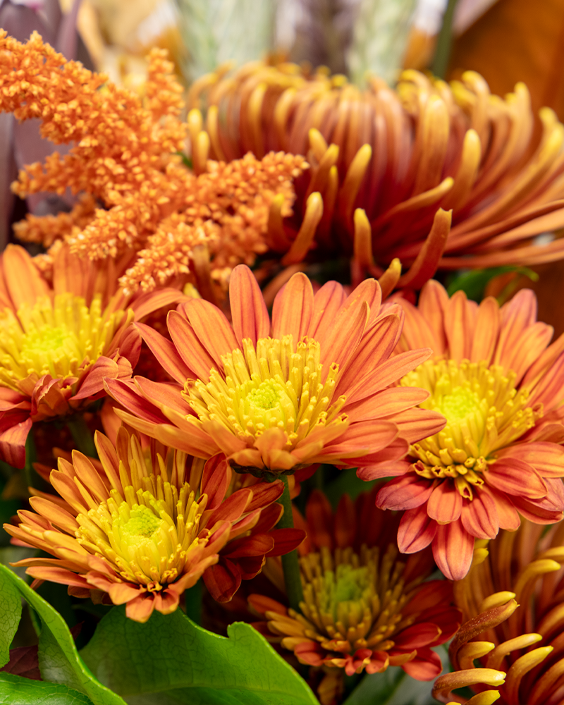 Blooms & Barley Floral Arrangement from $89-$140