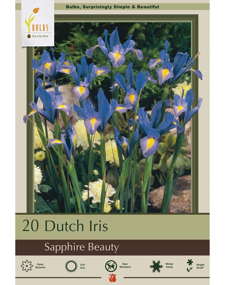 Iris Sapphire Beauty