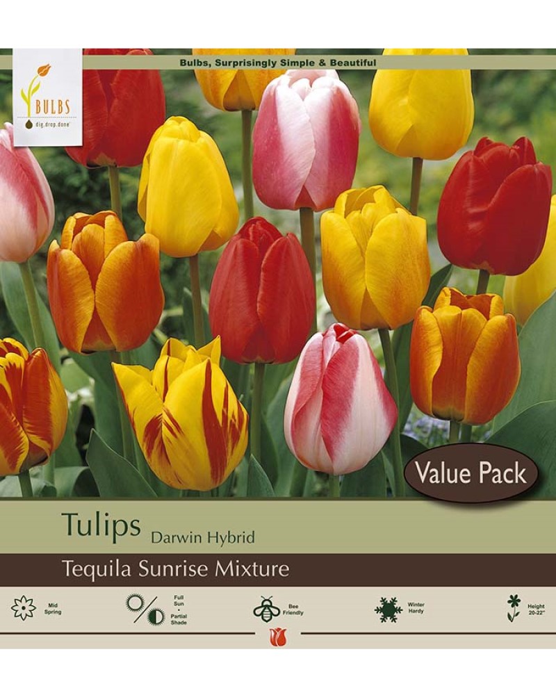 Tulip Tequila Sunrise Mix