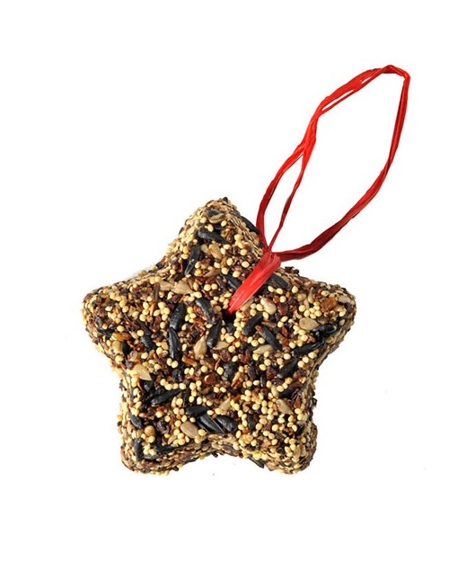 Seed Little Star Ornament