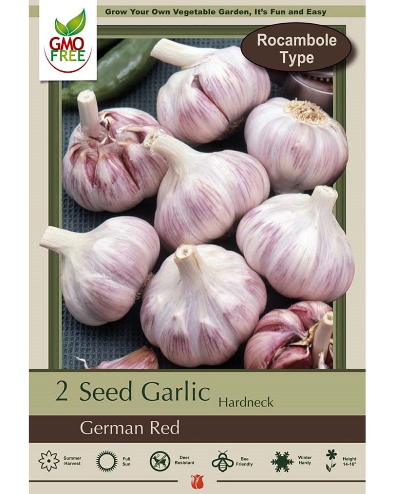 Garlic German Red
