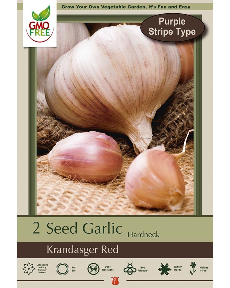 Garlic Krandasger Red