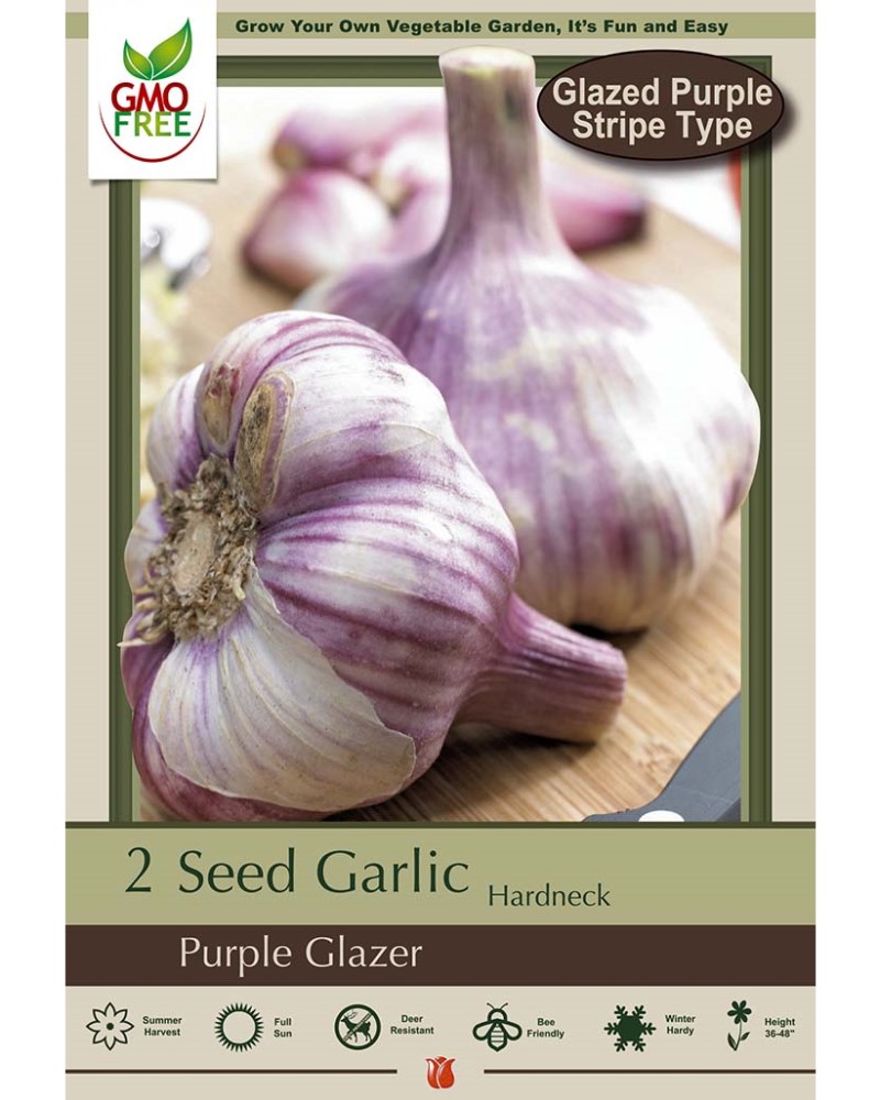 Garlic Purple Glazer
