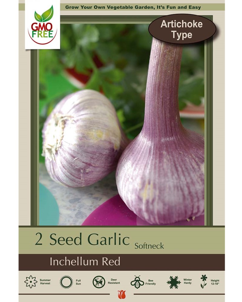 Garlic Inchelium Red