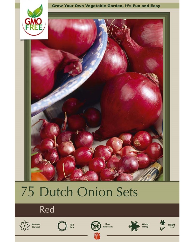 Dutch Onions Red