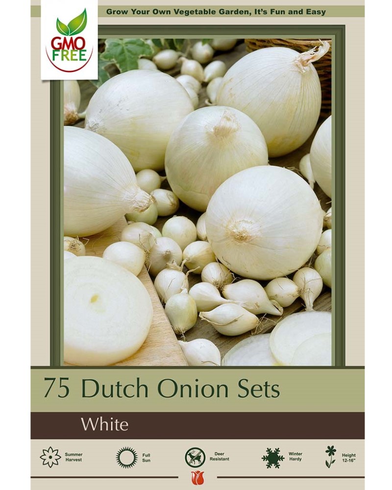 Dutch Onions White