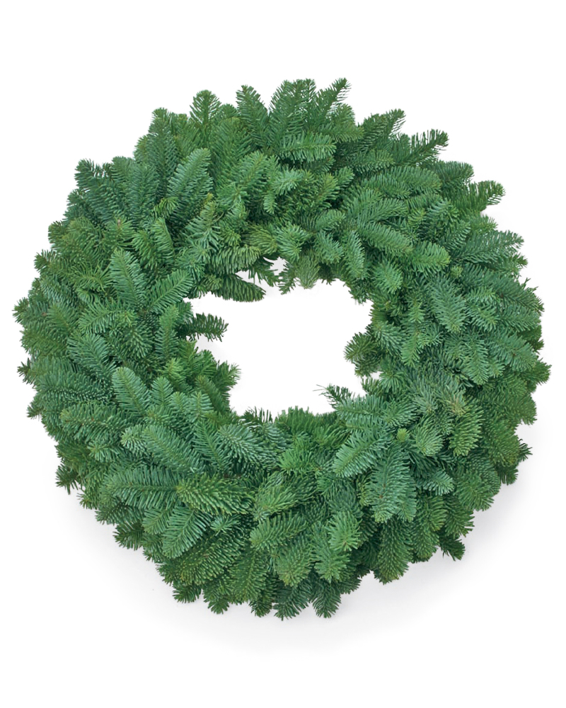 Wreath Plain Noble 12"