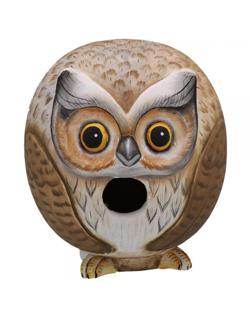 Owl Gordo-O Bird House