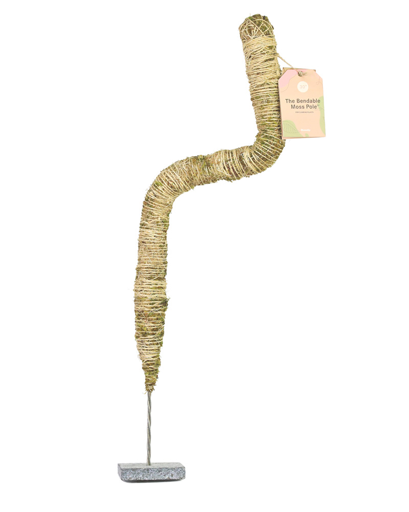 Mossify 30" Bendable Moss Pole