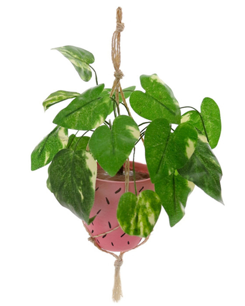 Hanging Plant Ornament 9"