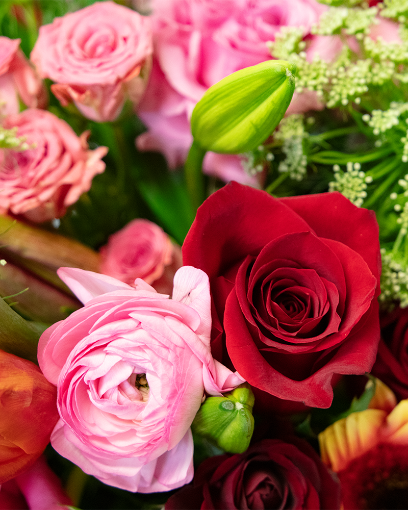 Carnivale Floral Arrangement from $165-$180