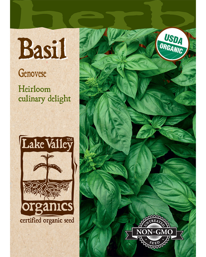 Basil Sweet Genovese Organic