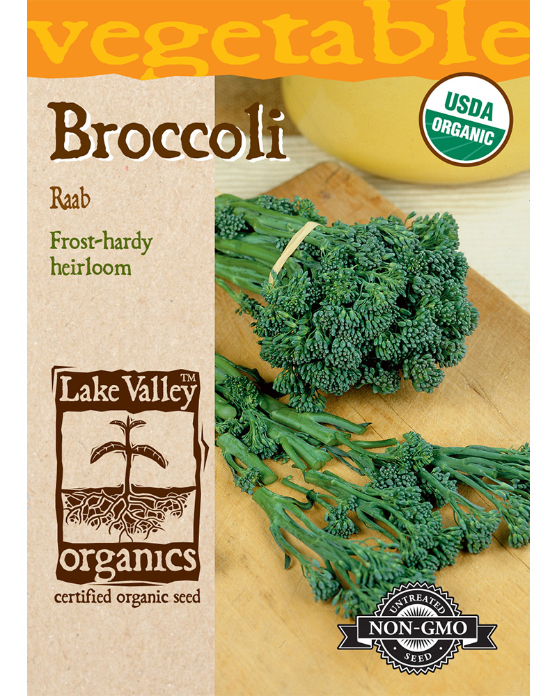 Broccoli Raab Spring Organic