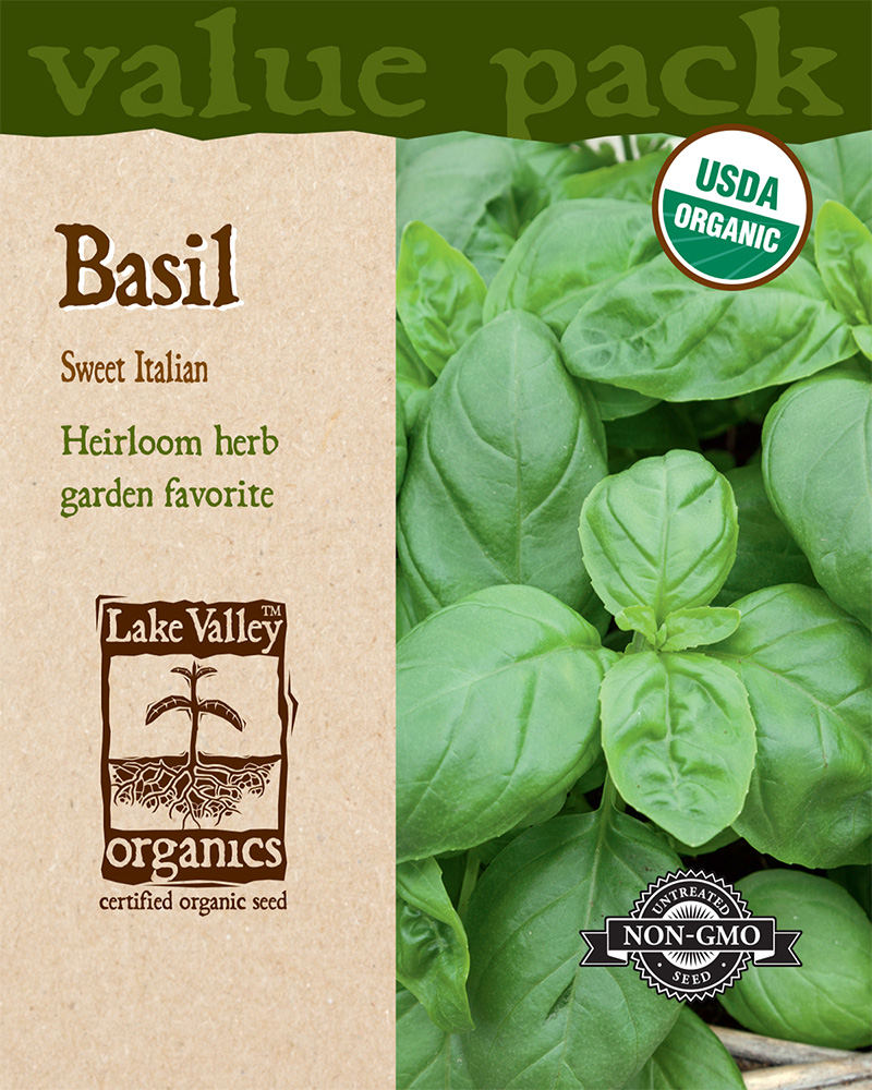 Basil Sweet Italian Organic