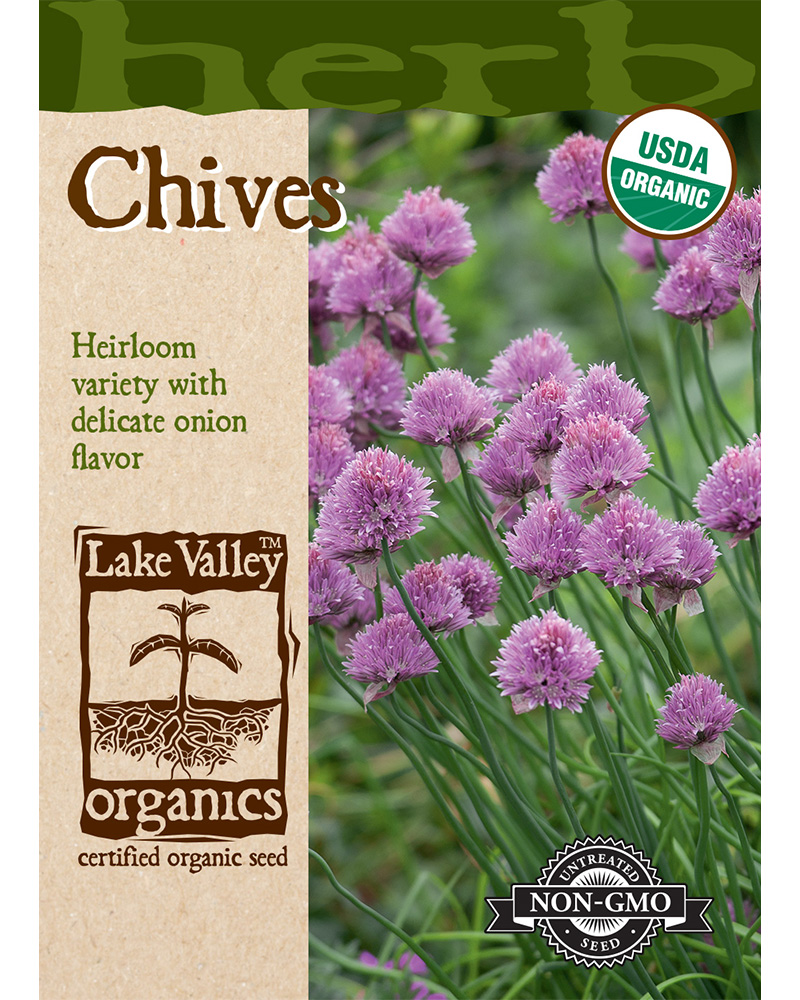 Chives Organic