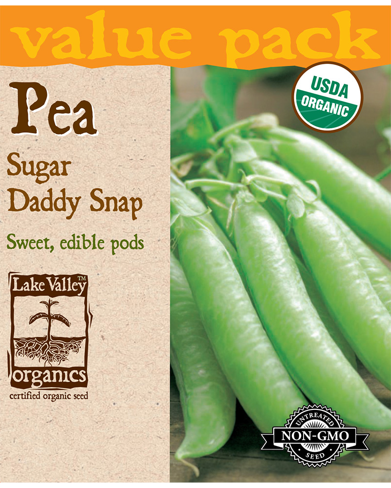 Pea Sugar Daddy Snap Organic