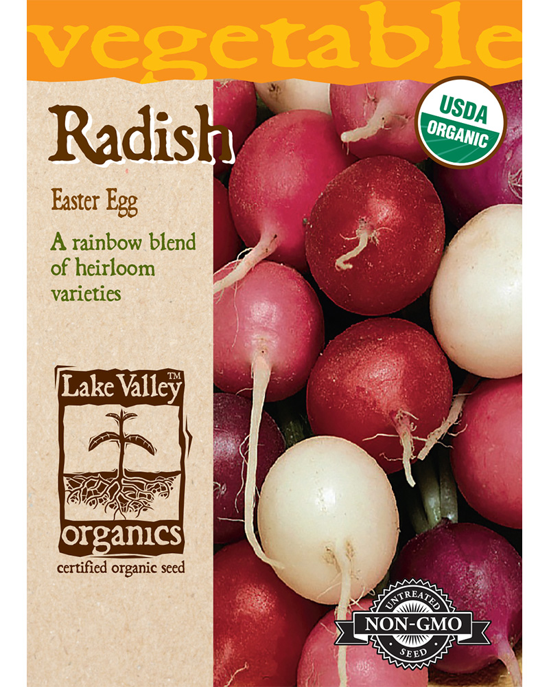Radish Easter Egg Blend Organic