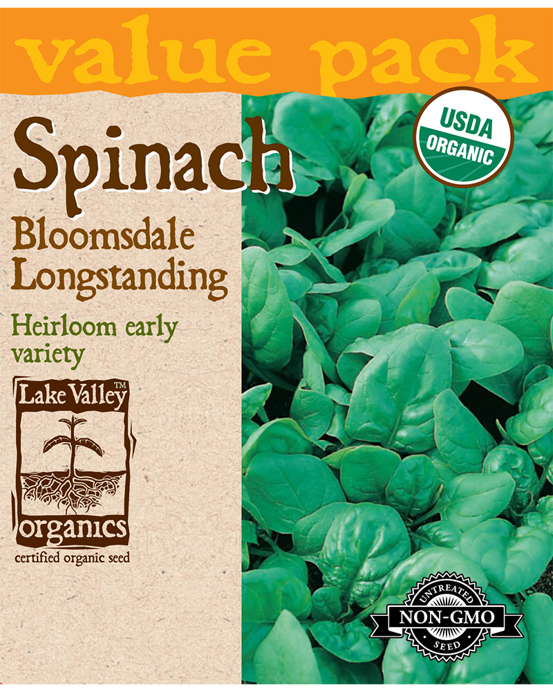 Spinach Bloomsdale Longstanding Organic