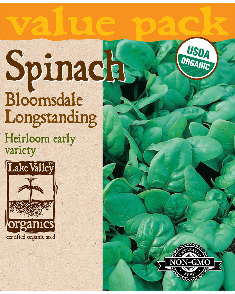 Spinach Bloomsdale Longstanding Organic