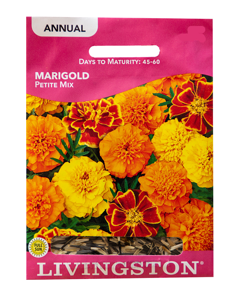 Marigold Petite