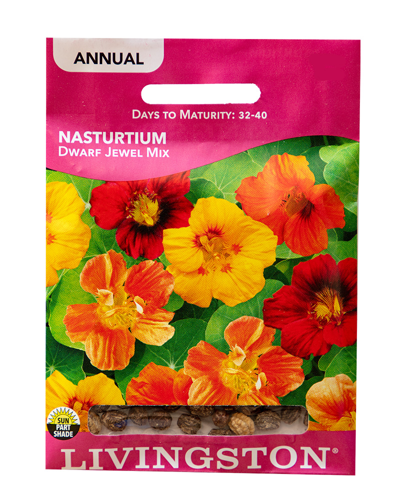 Nasturium Dwarf Jewel Mix